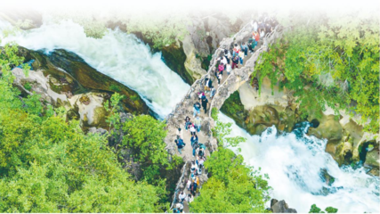 以園區為支點，精準服務與融入新發展格局